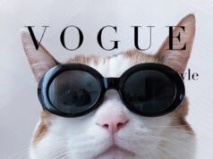 Gifts for our furry family members