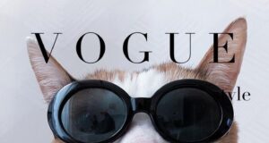 Gifts for our furry family members