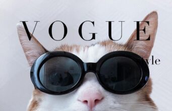 Gifts for our furry family members